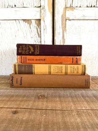 The Little House Finch + Vintage Book Stack