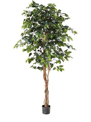 Nearly Natural + 6-Foot Artificial Ficus Tree