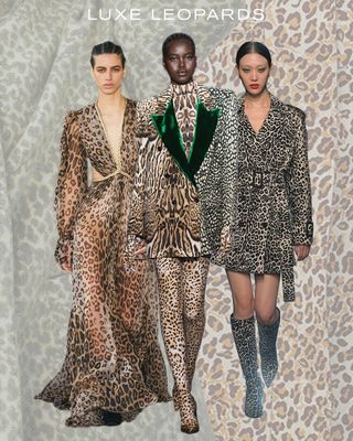 fall-print-trends-2022-301961-1661284800190-main