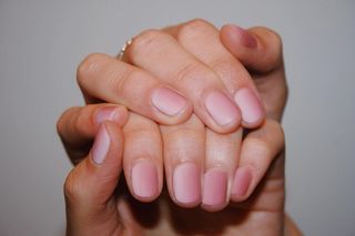 pink-ombre-nails-302139-1662728249464-image
