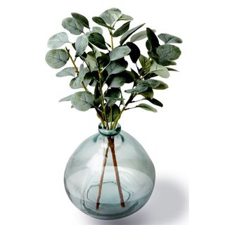 Better Homes & Gardens + Articifical Eucalyptus in Demijohn Vase
