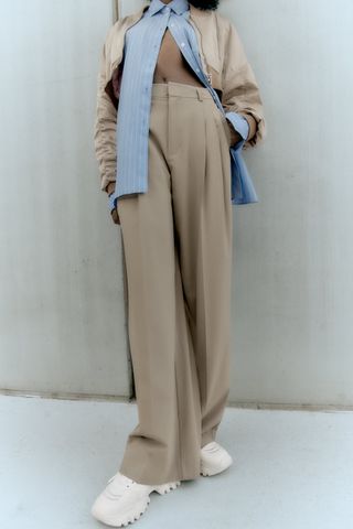 Zara + Full Length Pleated Pants