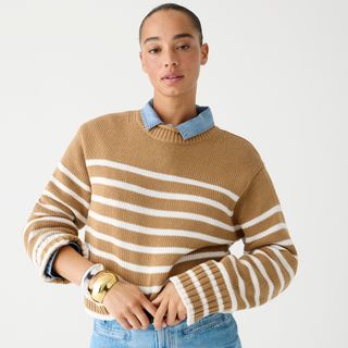 J.Crew + Rollneck Sweater in Stripe