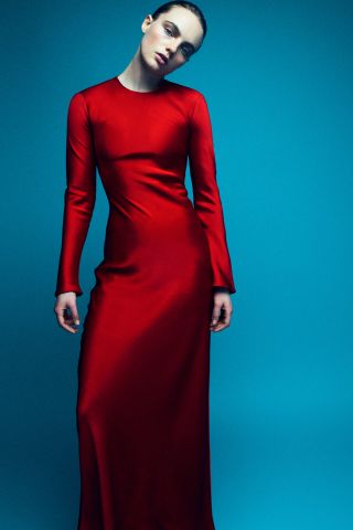 Zara + Collection Low-Cut Back Dress