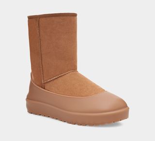 Ugg + Boot Guard in Chestnut