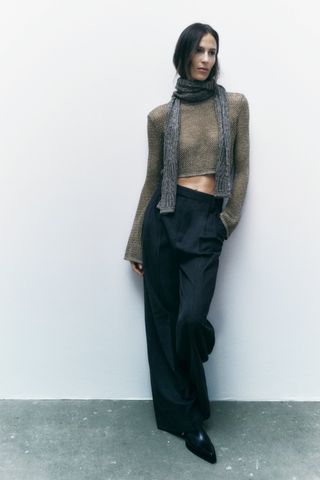Zara + Knit Metallic Top