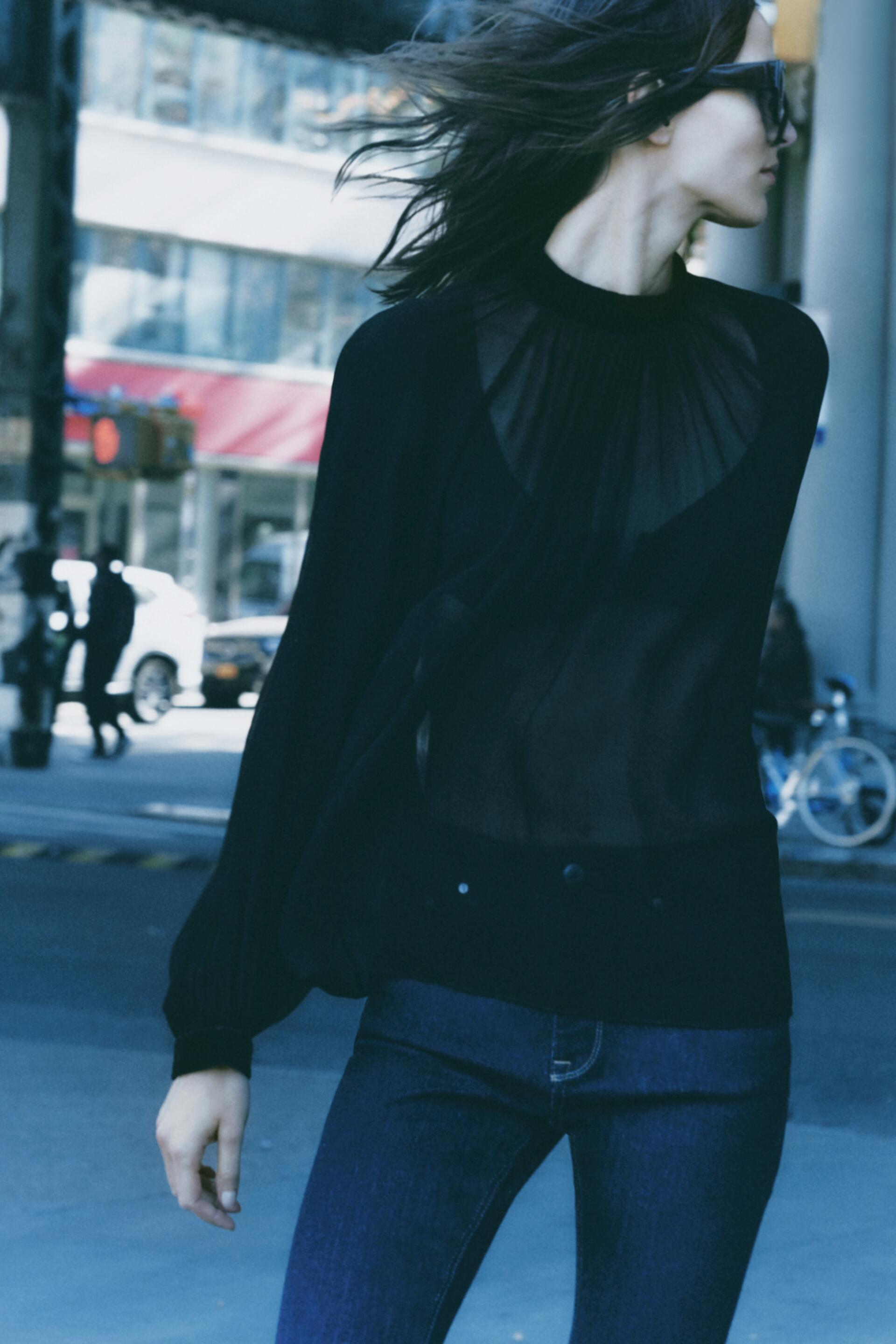 Zara + Semi-Sheer Blouse with Top