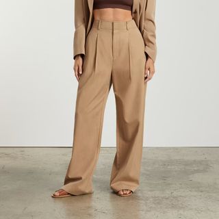 Everlane + The Way-High Drape Pants