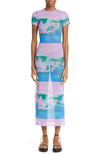 Miaou + Billie Thermal Pastel Print Sheer Mesh Midi Dress