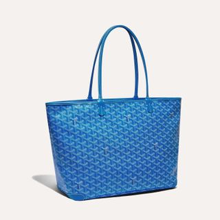 The 10 Best Goyard Bags and What to Know Before Buying Who What Wear