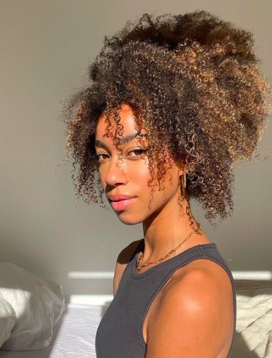 The 10 Best Blow Dryers for Afro and Coily Hair | Who What Wear