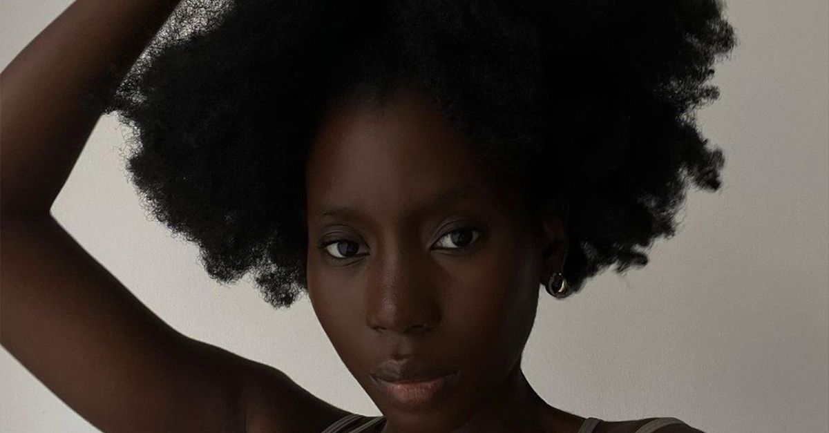 The 10 Best Blow Dryers for Afro and Coily Hair Who What Wear