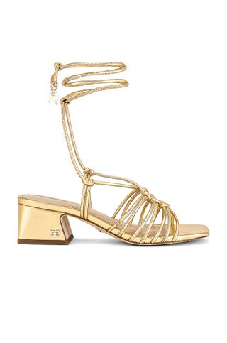 Sam Edelman + Westley Sandal