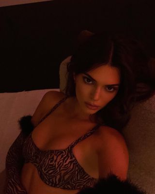 kendall-jenner-lingerie-with-gloves-304785-1673274370871-image