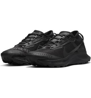 Nike + Pegasus Trail 3 Gore-Tex Waterproof Sneaker