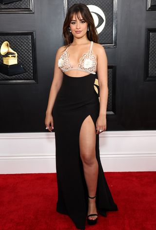 grammys-red-carpet-2023-305329-1675646338798-image