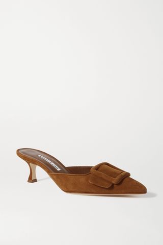 Manolo Blahnik + Maysale 50 Buckled Suede Mules