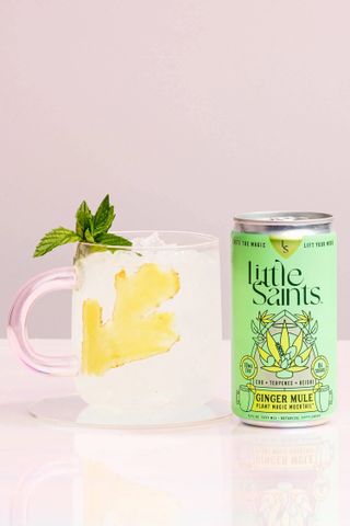 Little Saints + Ginger Mule