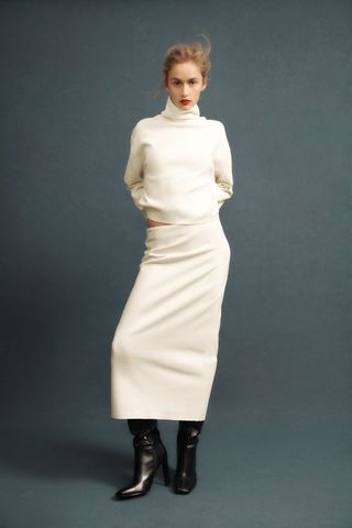Zara + Skirt