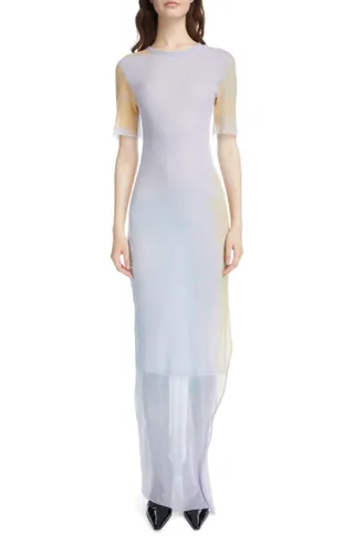 Acne Studios + Evas Tulle Overlay Cotton Maxi Dress