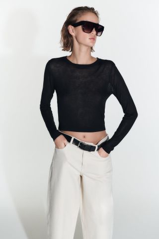 Zara + Semi Sheer Knit Crop Top