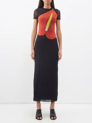 Loewe + Anthurium-Print Mesh Maxi Dress