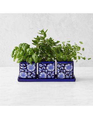 Williams Sonoma + Blue & White Ceramic Herb Tray with Pots
