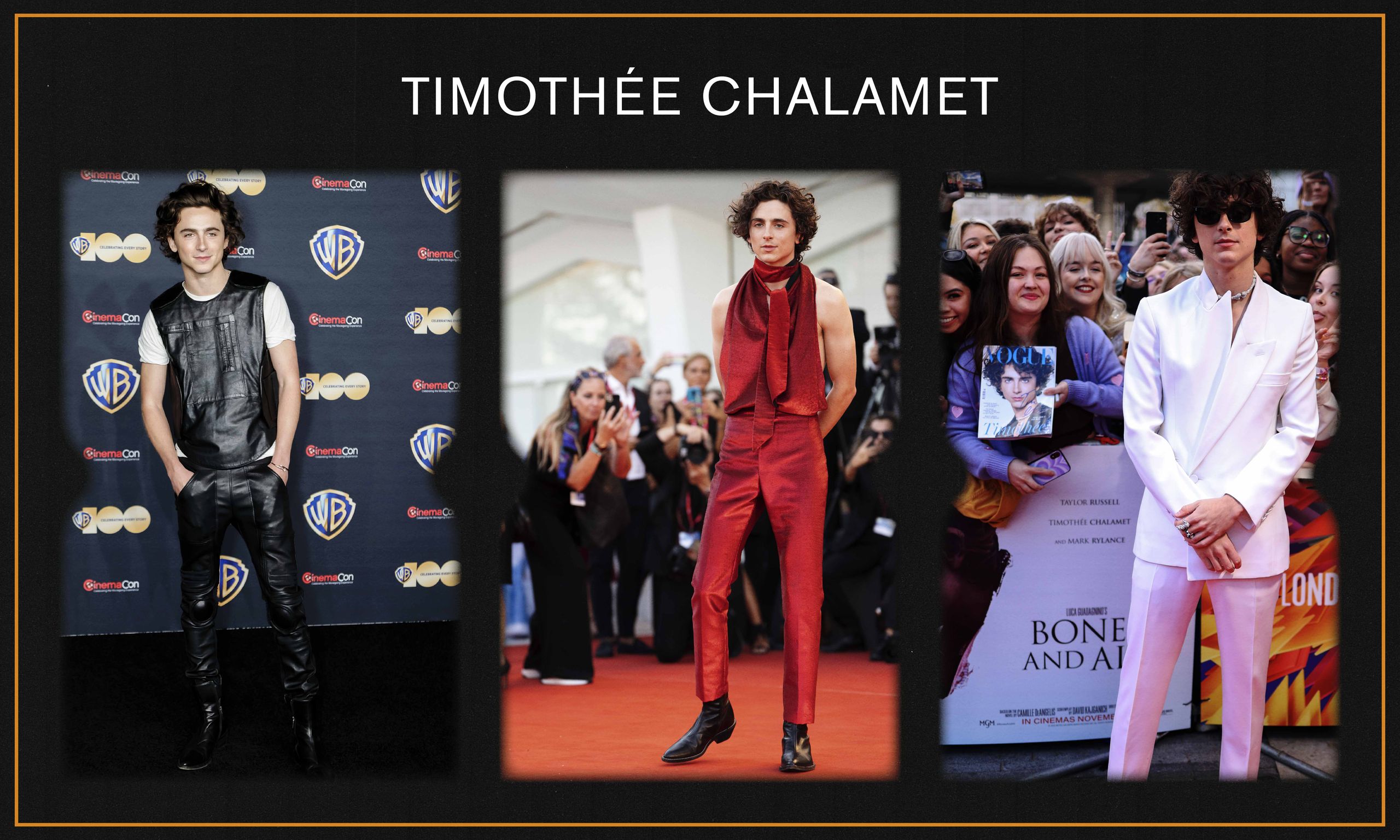 Red Carpet Recap: The It Celebs, Trends, and Designers | Who What Wear