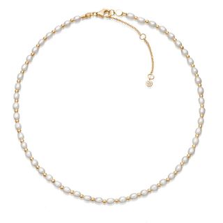 Astley Clarke + Gold Stilla White Pearl Choker Necklace