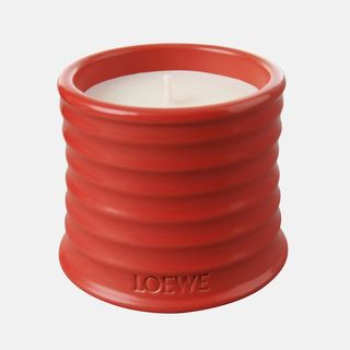 Loewe + Tomato Leaves Scented Candle