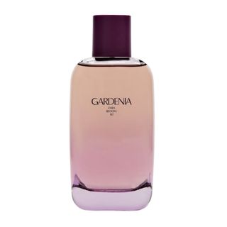 Zara + Gardenia Eau de Parfum