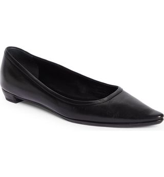 The Row + Claudette Pointed Toe Ballet Flats