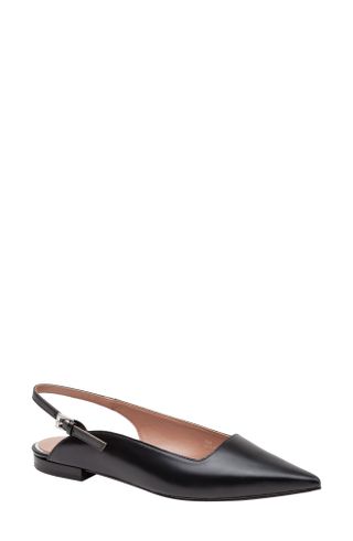 Linea Paolo + Caia Pointed Toe Slingback Flat