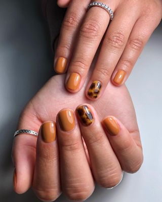burnt-orange-nails-309518-1695121234681-image