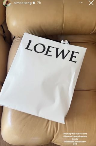 loewe-squeeze-bag-309623-1695409727033-main