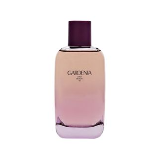 Zara + Gardenia Eau de Parfum