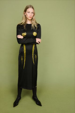 Zara + Silhouette Print Dress