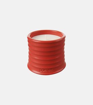 Loewe Home Scents + Tomato Leaves Small Scented Candle
