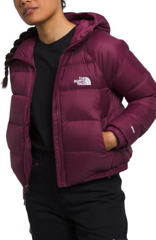 The North Face + Hydrenalite Hooded Down Jacket