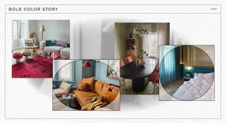 home-decor-trends-2024-310431-1699740478234-image