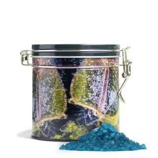 Temple Spa + Sea-Scape Revitalising Bath Salts