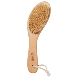 Goop + G.Tox Ultimate Dry Brush