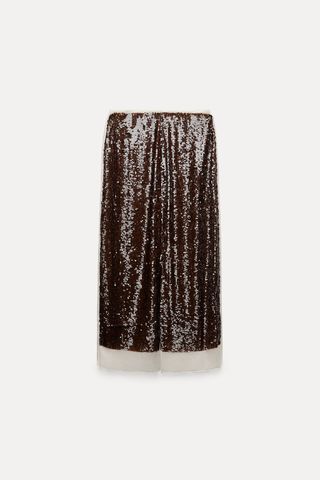 Zara + Sequin Chiffon Skirt