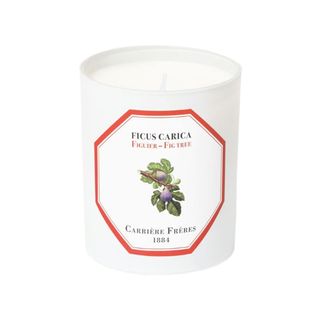 Carrière Frères + Ficus Carica Fig Tree Candle