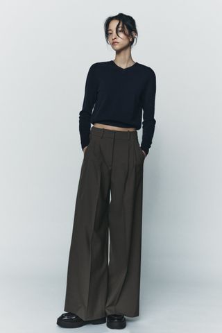 Zara + Wool Blend Pleated Pants