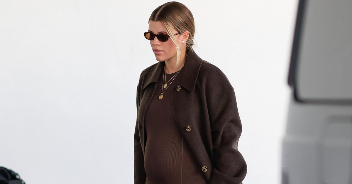 Sofia Richie Wore the Brown Dress Trend in the Chicest Way | Who What Wear