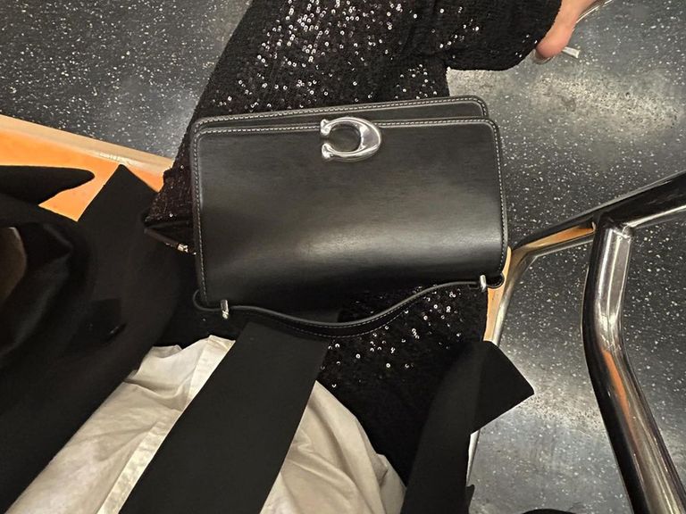 These Are the 9 Best Coach Bags to Know for 2024 Who What Wear