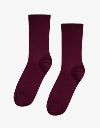 Colorful Standard + Classic Organic Sock in Oxblood Red