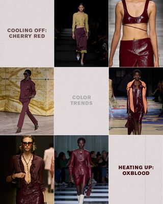 fashion-color-trends-2024-311660-1705161522154-image