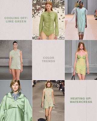 fashion-color-trends-2024-311660-1705161527628-image